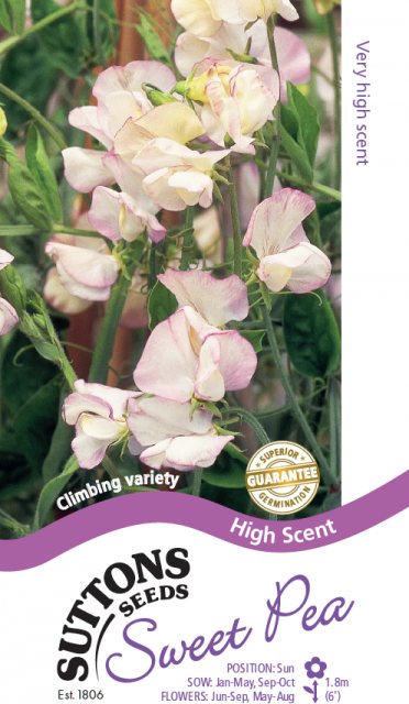 SUTTONS Suttons Sweet Pea High Scent Seeds