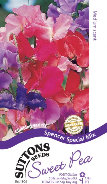 SUTTONS Suttons Sweet Pea Special Spencer Mix