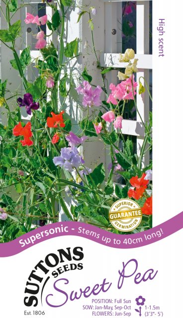 SUTTONS Suttons Sweet Pea Supersonic Seeds