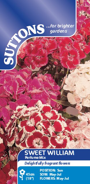 SUTTONS Suttons Sweet William Perfume Mix Seeds