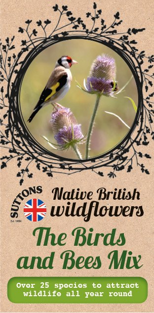 SUTTONS Suttons The Birds & Bees Wildflower Mix Seeds