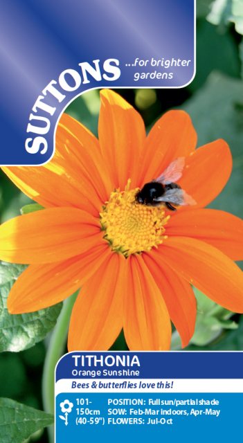 SUTTONS Suttons Tithonia Orange Sunshine Seeds