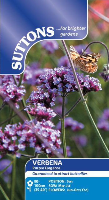 SUTTONS Suttons Verbena Purple Elegance Seeds