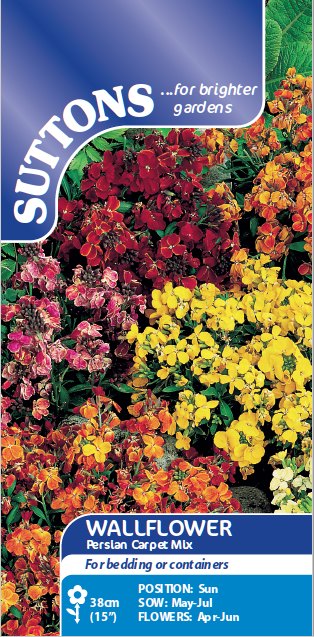 SUTTONS Suttons Wallflower Persian Carpet Mix Seeds