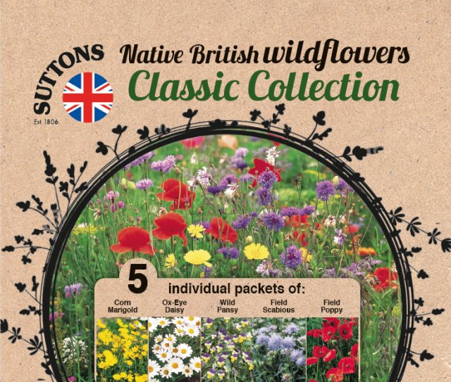 SUTTONS Suttons Native British Wildflowers Classic Collection Seeds