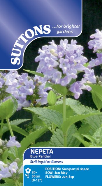 SUTTONS Suttons Nepeta Blue Panther Mix Seeds