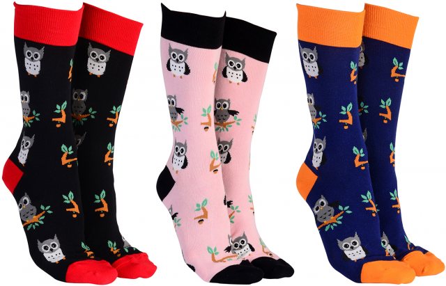 Sock Society Sock Society Owls Sock Assorted