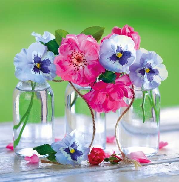 CUBE Cube Pansy Jars Card