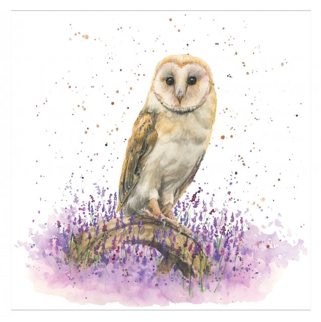 Bree Merryn  Bree Merryn Olivia Owl Card