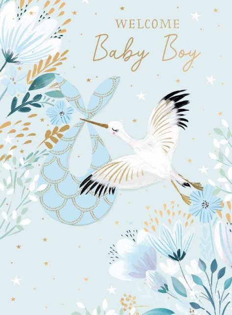 Baby Boy Stork Card