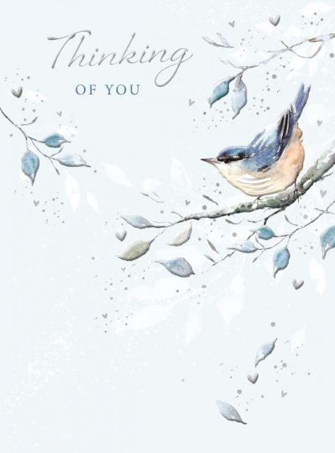 Bird On Branch Thinking Of You Card