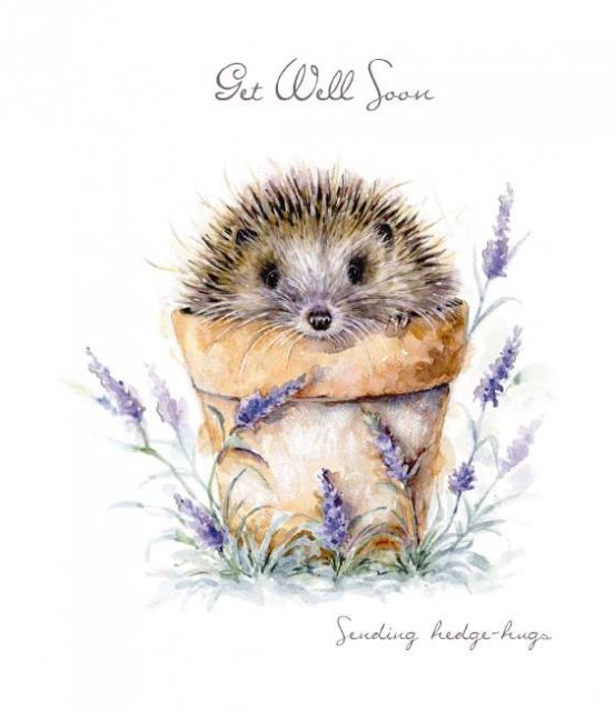 Paw Sending Hedgehugs Get Well Soon Card