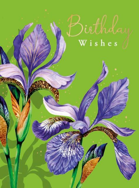 Iris Purple Birthday Card