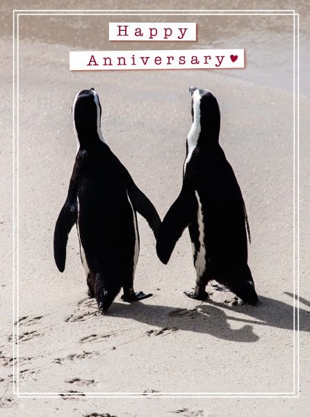 Picture This Two Penguins Anniversary Card