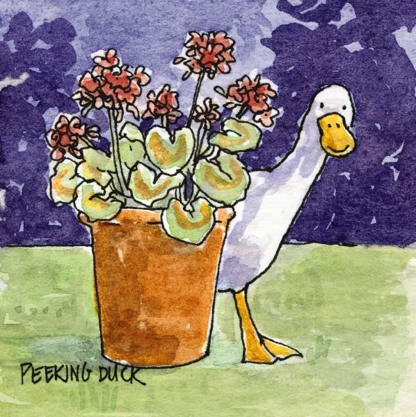 Duck & Flowers Card