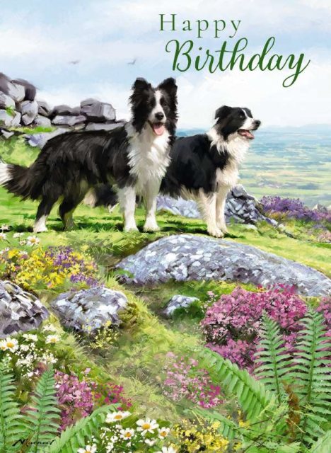 Two Dogs Birthday Card