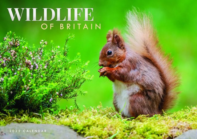 JADE Wildlife Of Britain Calendar A4