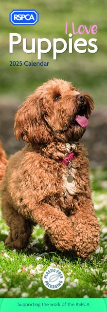 JADE RSPCA Puppies Slim Calendar