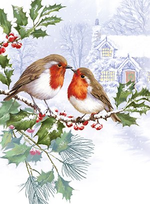 Christmas Card Two Robins