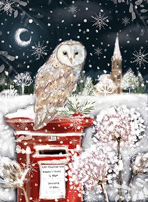 Christmas Card Owl On Postbox