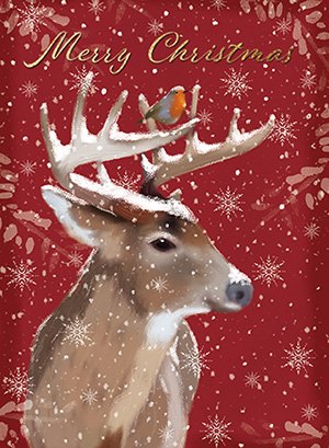 Christmas Card Reindeer