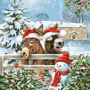 Christmas Card Snowman & Donkeys