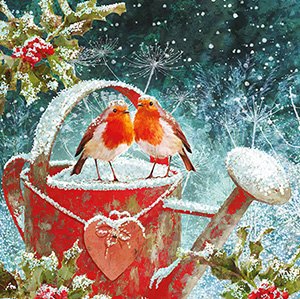 Christmas Card Robins On Watering Can