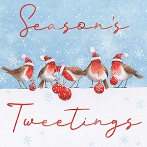 Christmas Card Seasons Tweetings