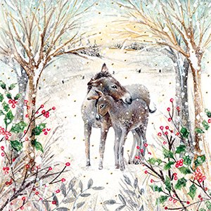 Christmas Card Two Donkeys