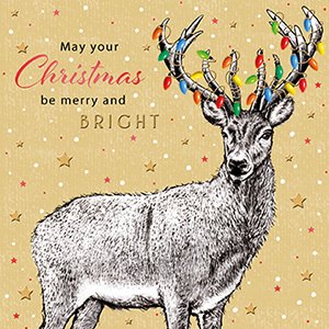 Christmas Card Reindeer