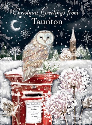 Christmas Card Owl On Postbox