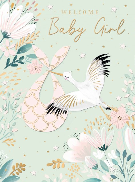 Stork Baby Girl Card