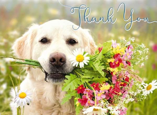 Picture This Dog With Flowers Thank You Card