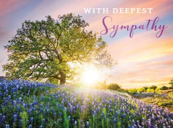 Picture This Bluebell Sunset Deepest Sympathy Card