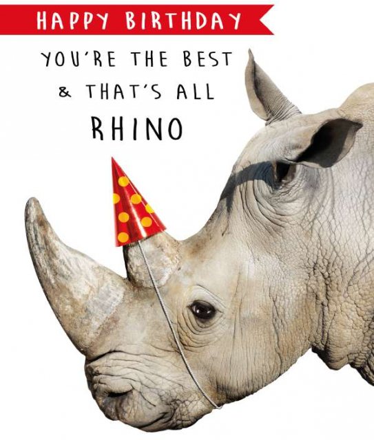 Picture This All Rhino Birthday Card