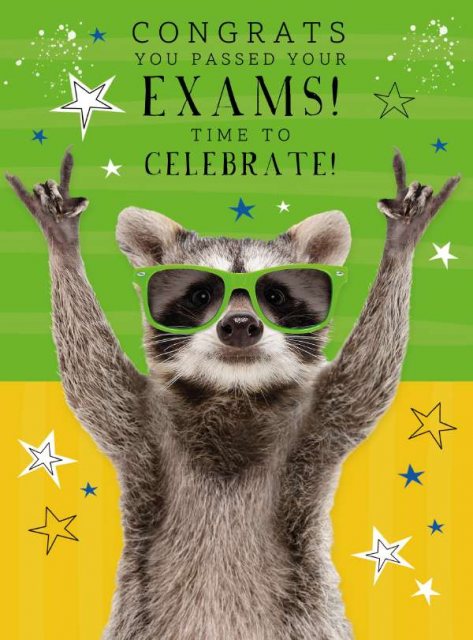 Picture This Time To Celebrate Exams Card