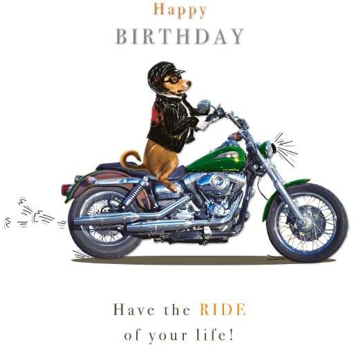 Dugs Diary Ride Of Your Life Birthday Card