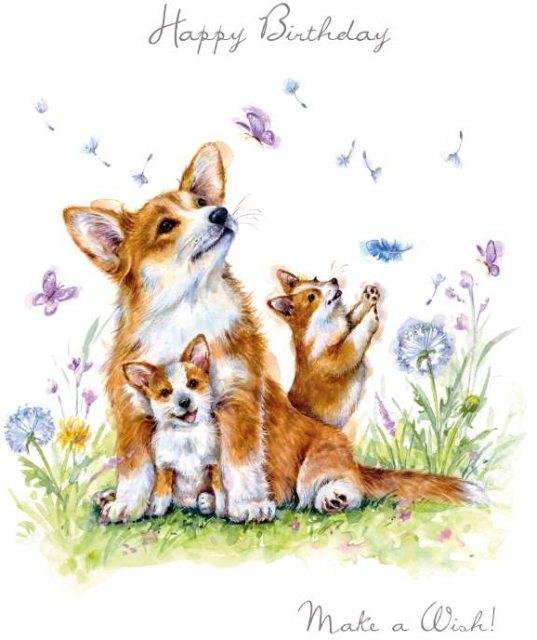 Paw Make A Wish Birthday Card