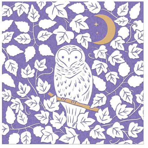 Everley Owl Card