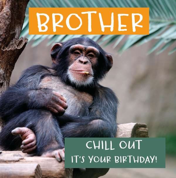 Chill Out Brother Birthday Card