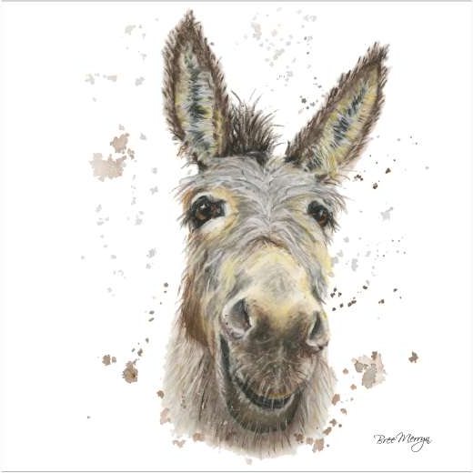 Bree Merryn Desmond Donkey Card