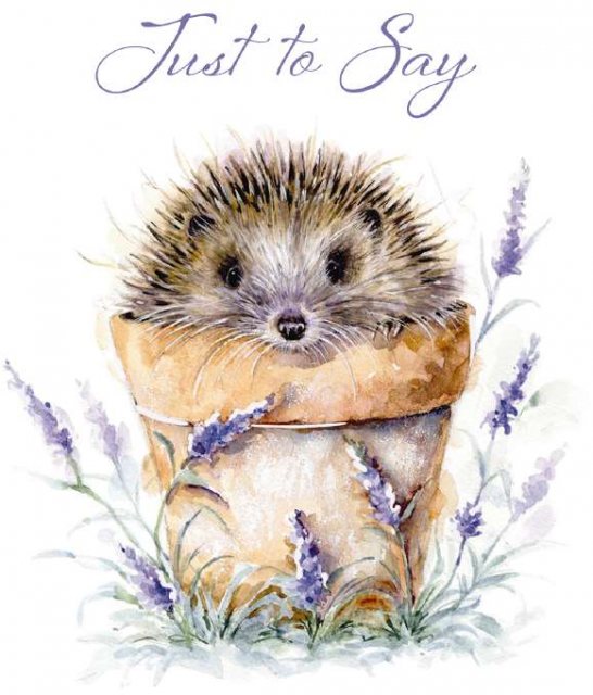 Hedgehog In Plant Pot Just To Say Card