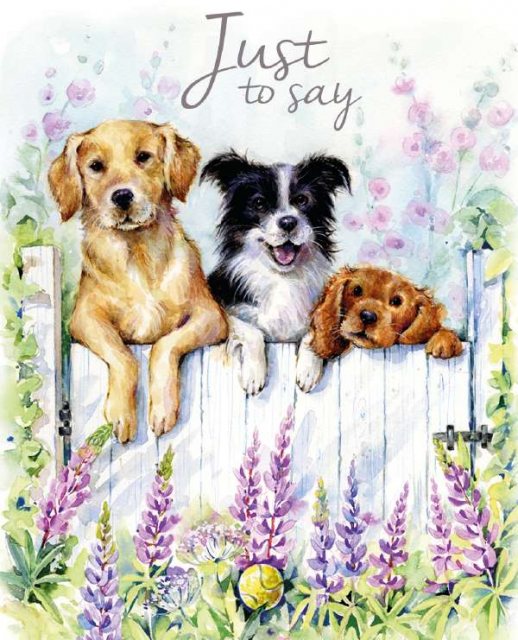 Three Dogs Just To Say Card