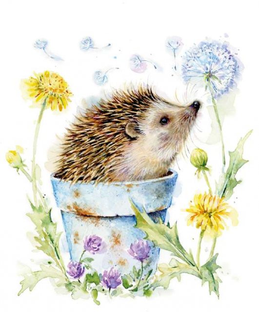 Hedgehog In Plant Pot Card