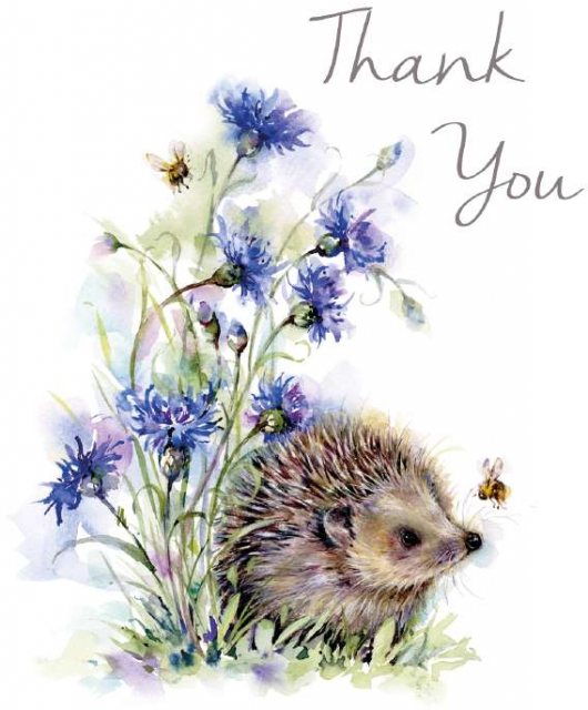 Hedgehog Thank You Card