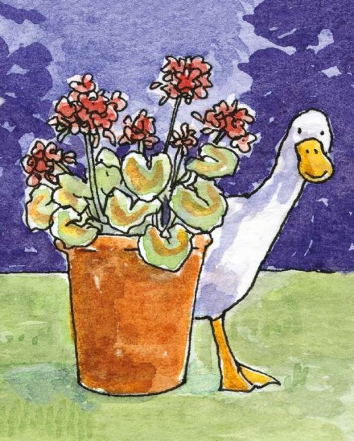 Peeking Duck Card