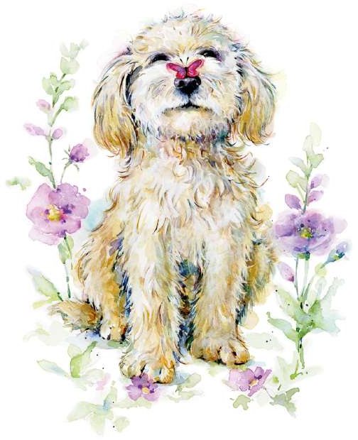 Pup With Butterfly On Nose Card