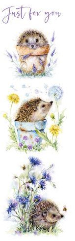 Hedgehogs Just For You Card