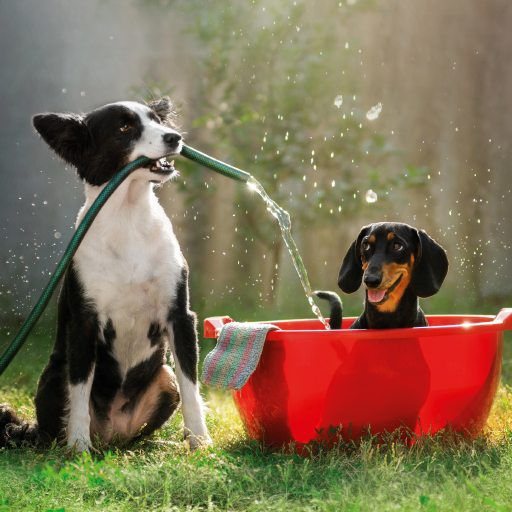 Bath Time Card