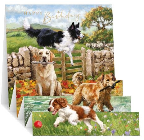 Zigzag Dog Walk Birthday Card